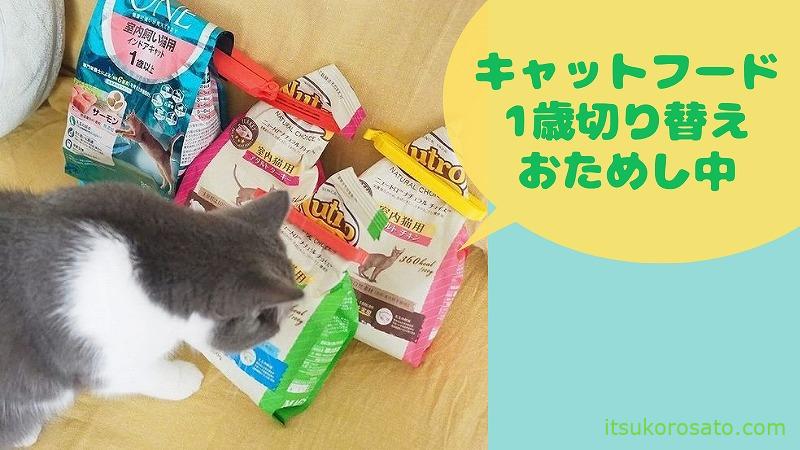 キャットフード ロイヤルカナン子猫用から切り替え体験談 去勢避妊用 成猫用 にゃんこ２匹と一人暮らし