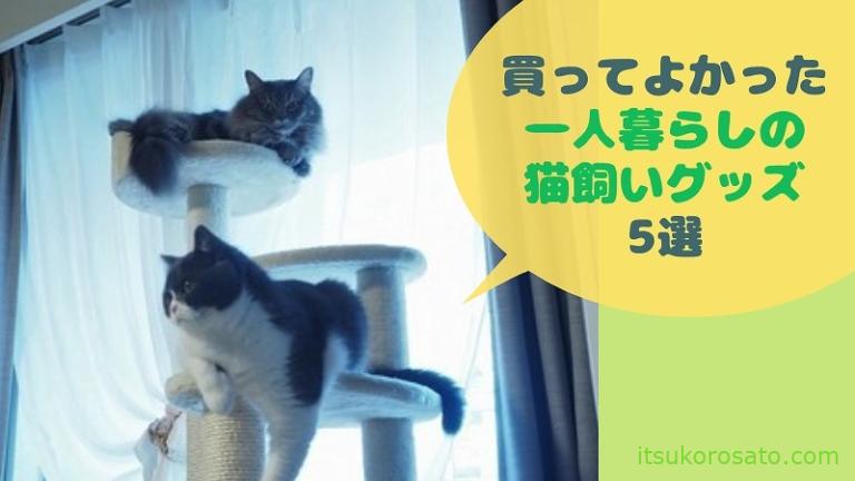 猫飼い初心者 あってよかった 一人暮らしの猫グッズ５選 21年更新 にゃんこ２匹と一人暮らし