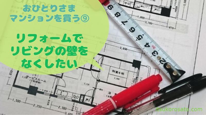 中古マンションを一人暮らし用間取りにリフォーム おひとりさまマンション購入 にゃんこ２匹と一人暮らし