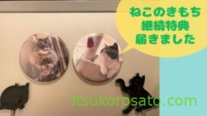 ねこのきもち は猫飼い初心者に記事も付録も役立つ雑誌 購読1年口コミレビュー にゃんこ２匹と一人暮らし