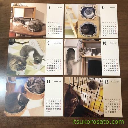 猫カレンダー7~12月