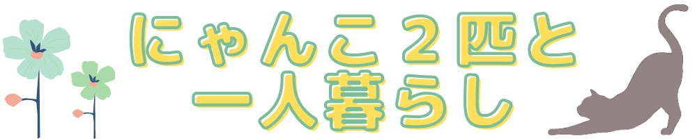 にゃんこ2匹と一人暮らし