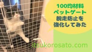 100均手作りペットゲートで脱走防止 驚 玄関開けたら猫がいた にゃんこ２匹と一人暮らし