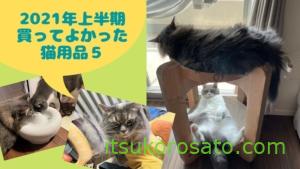 100均手作りペットゲートで猫の脱走防止!ダイソー材料で玄関柵の