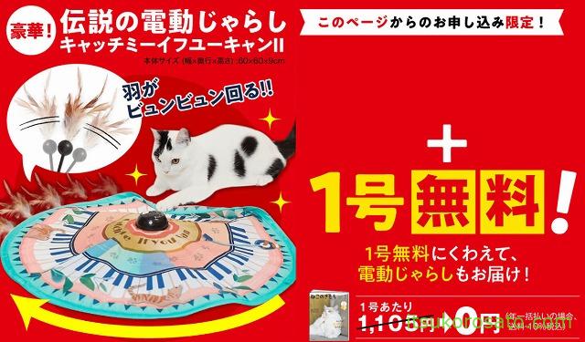 ねこのきもち は猫飼い初心者に記事も付録も役立つ雑誌 購読1年口コミレビュー にゃんこ２匹と一人暮らし