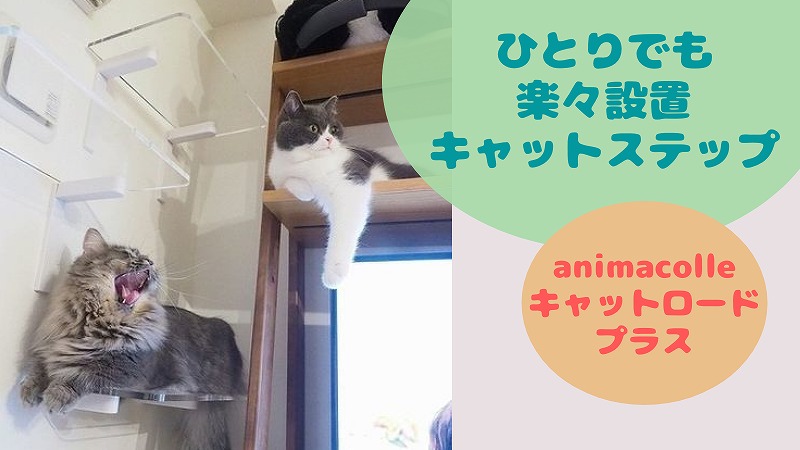 キャットロードプラスはひとりでも楽々設置のキャットステップ|つけ方・外し方