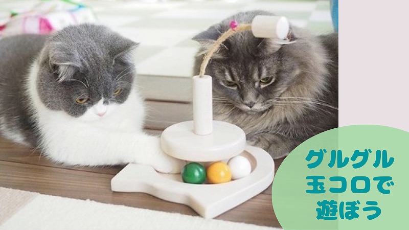 「グルグル玉ころ」はかじるものではなく転がすものですよ