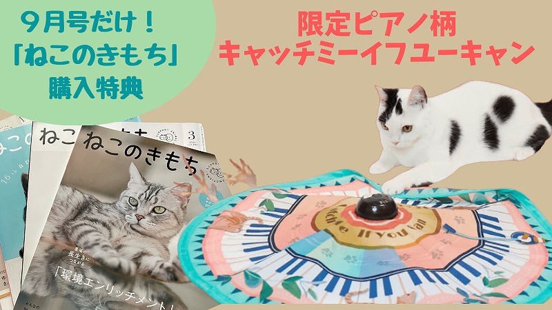 キャッチミーイフユーキャンがもらえる!ねこのきもち2021年9月号豪華特典