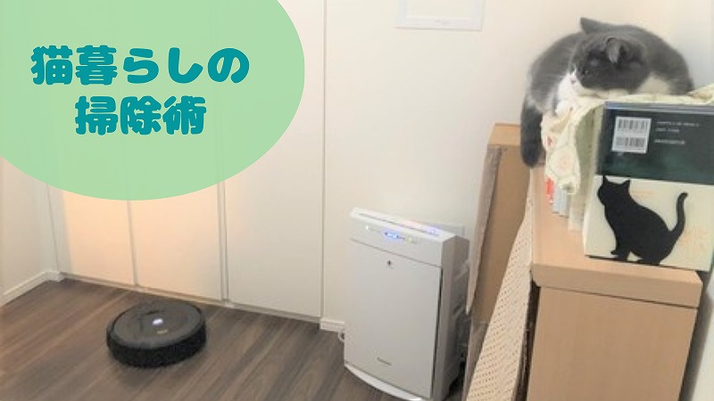 猫とルンバとコロコロと。おすすめ掃除グッズ【猫飼い初心者】