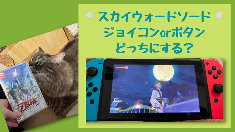 スカイウォードソードSwitch版 ジョイコン操作が難しいからボタンでプレイ!