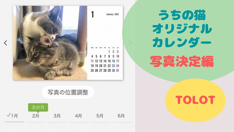 2021うちの猫カレンダーの写真発表！ 写真選びは難しい･･･！