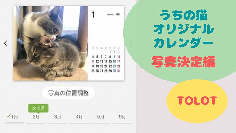 2021うちの猫カレンダーの写真発表! 写真選びは難しい・・・!