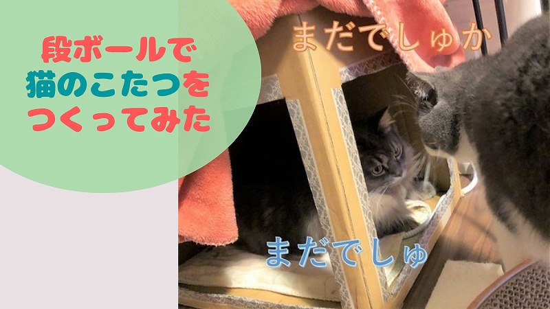 段ボールで猫のこたつをつくってみた