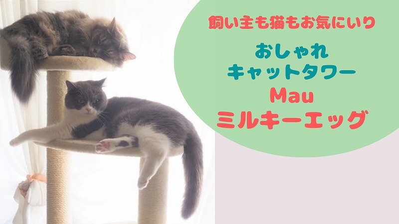 Mauキャットタワー・ミルキーエッグは超おすすめ!猫のいちゃいちゃ寝床