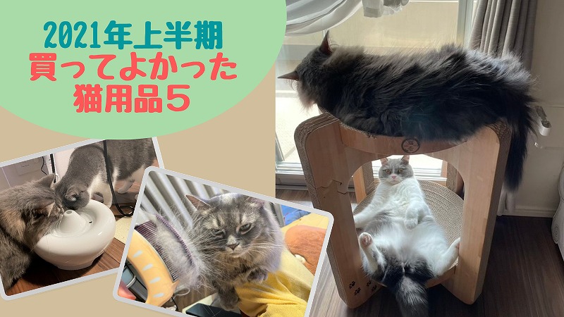 猫も飼い主も生活向上!買ってよかったおすすめ猫用品5|2021年上半期