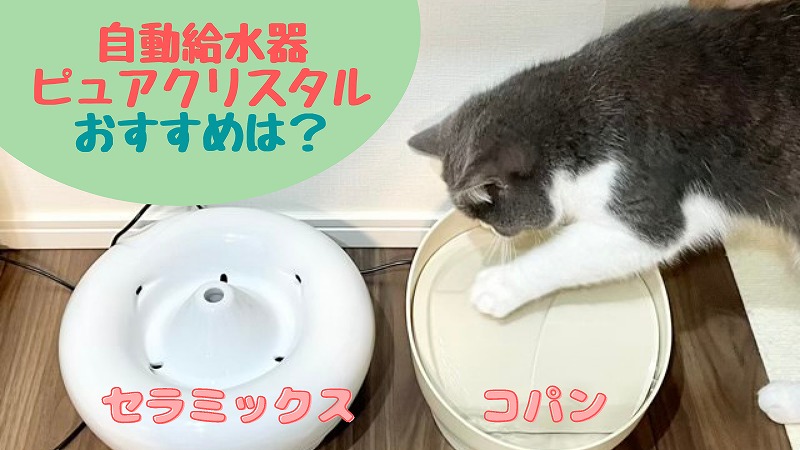 猫用ピュアクリスタルの口コミ・コパンとセラミックスどっちがおすすめ?