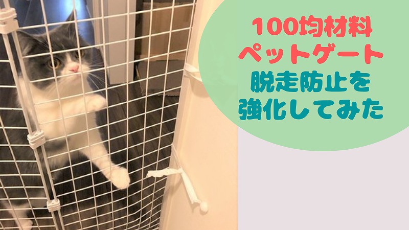 100均手作りキャットゲートを強化してみた!脱走リスク下がったか結果発表