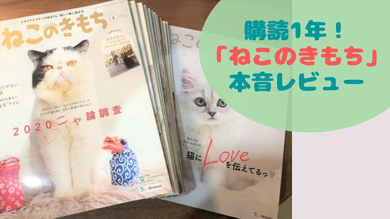 ねこのきもち は猫飼い初心者に記事も付録も役立つ雑誌 購読1年口コミレビュー にゃんこ２匹と一人暮らし