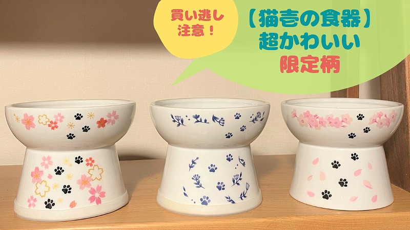 【今だけ買える!】猫壱のかわいい限定フードボウル&ウォーターボウル|2021夏