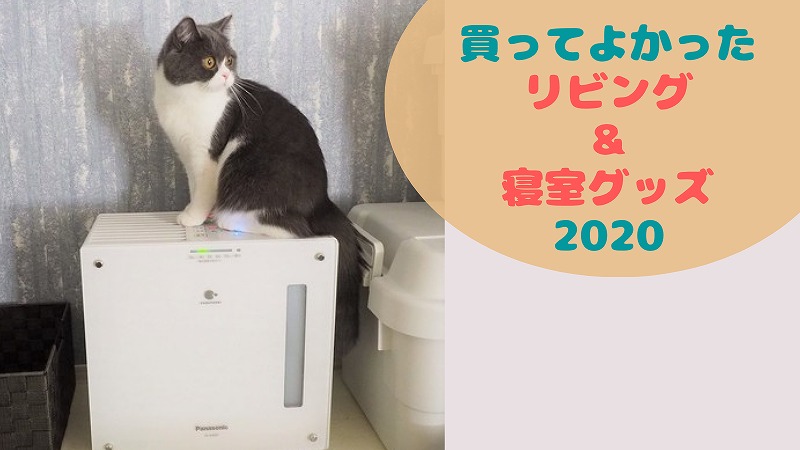 買ってよかったリビング・寝室グッズBEST5【2020】おうち時間がスッキリ快適!