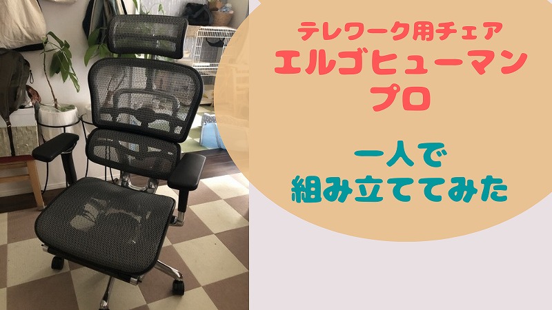 「エルゴヒューマン プロ」の組み立ては女性一人でも可能でした【ポイント解説】