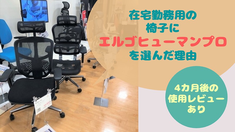 エルゴヒューマン プロ・在宅ワーク用にいい椅子を買ってみた【使用4カ月経過レビュー追記】