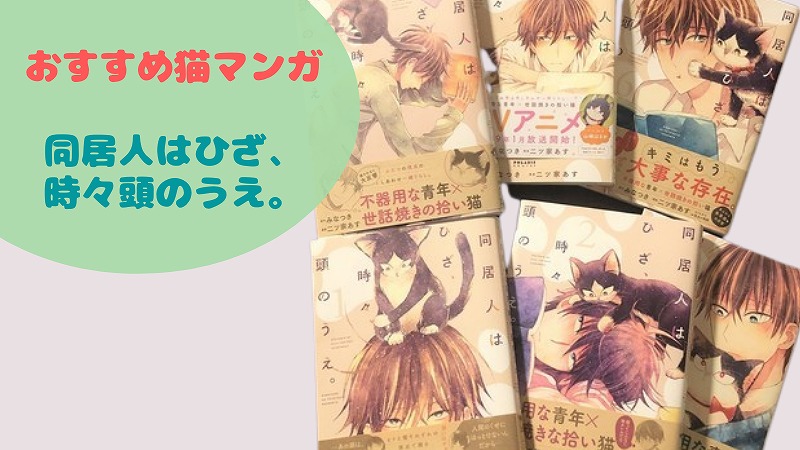 おすすめ猫マンガ③ 同居人はひざ、時々、頭のうえ。