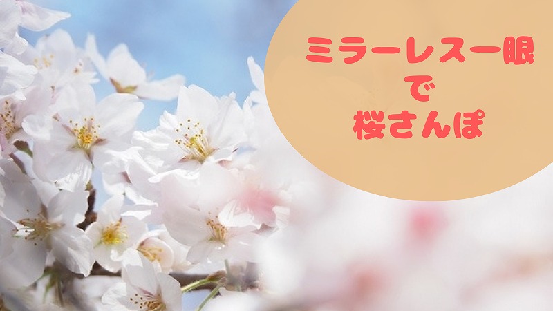ミラーレス一眼で桜撮り散歩するだけで幸せな2021春