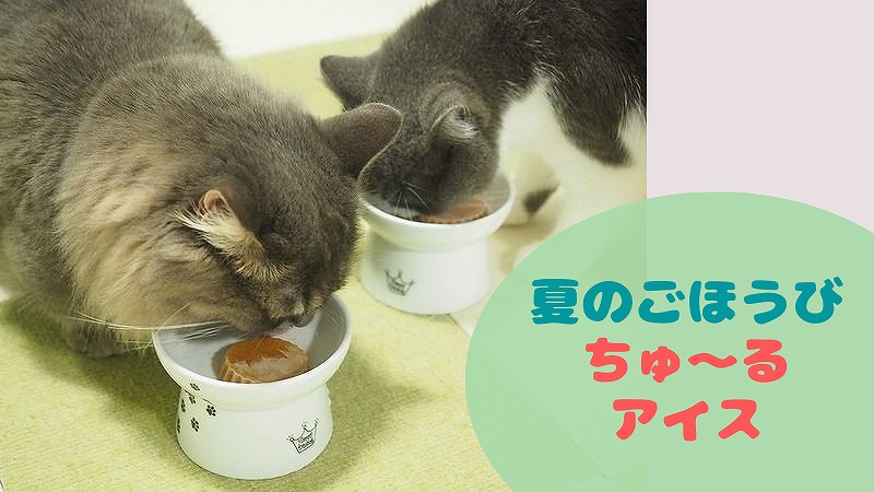 バースデーケーキのかわりは、ちゅ~るアイス