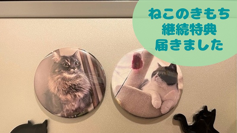 「ねこのきもち」の1年継続特典が届いた!うちの猫オリジナルグッズ