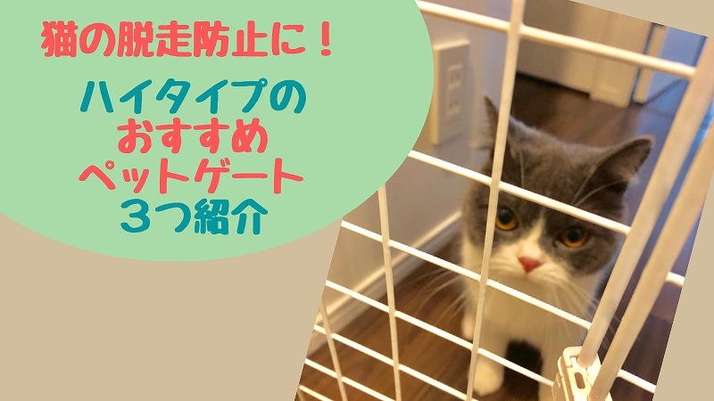 猫用ペットゲートのおすすめ3商品! ハイタイプで玄関の飛び越え防止に!