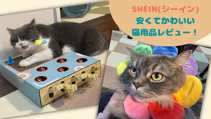 SHEIN(シーイン)のおすすめ猫用品をレビュー!ペットも飼い主も大満足!